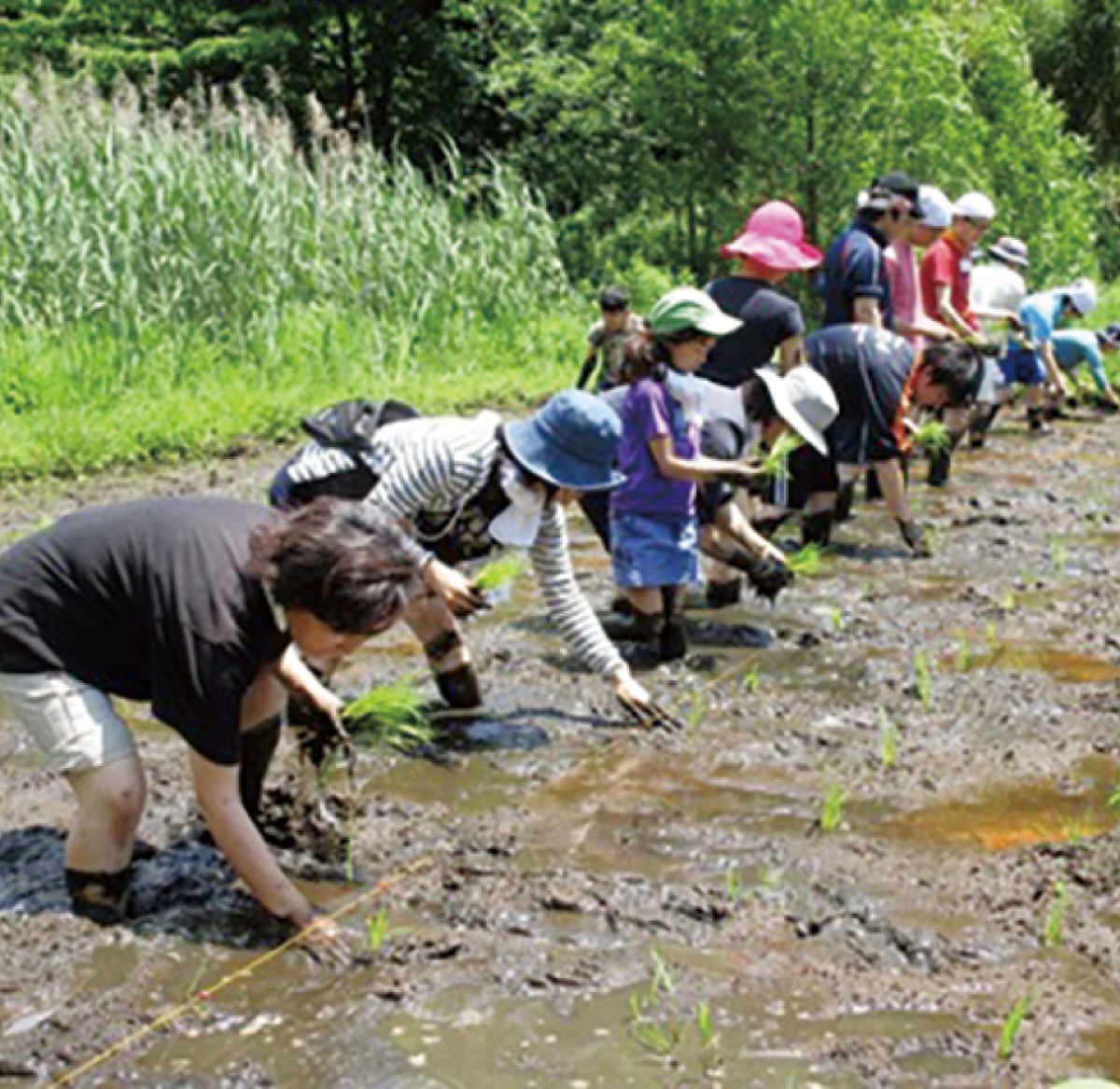 会員になって里山満喫
