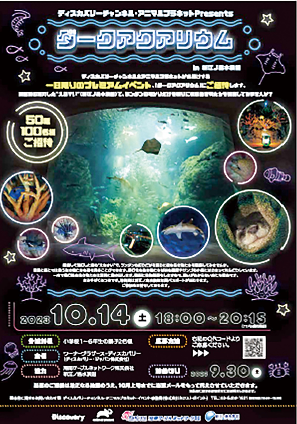 夜の水族館に行こう