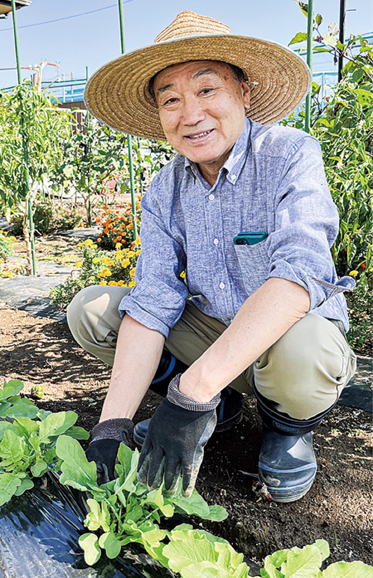 神輿と家庭菜園と孫