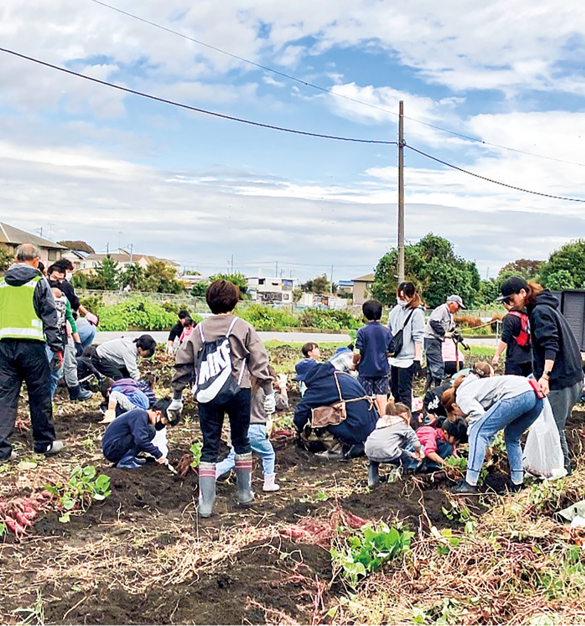 笑顔弾ける芋ほり体験