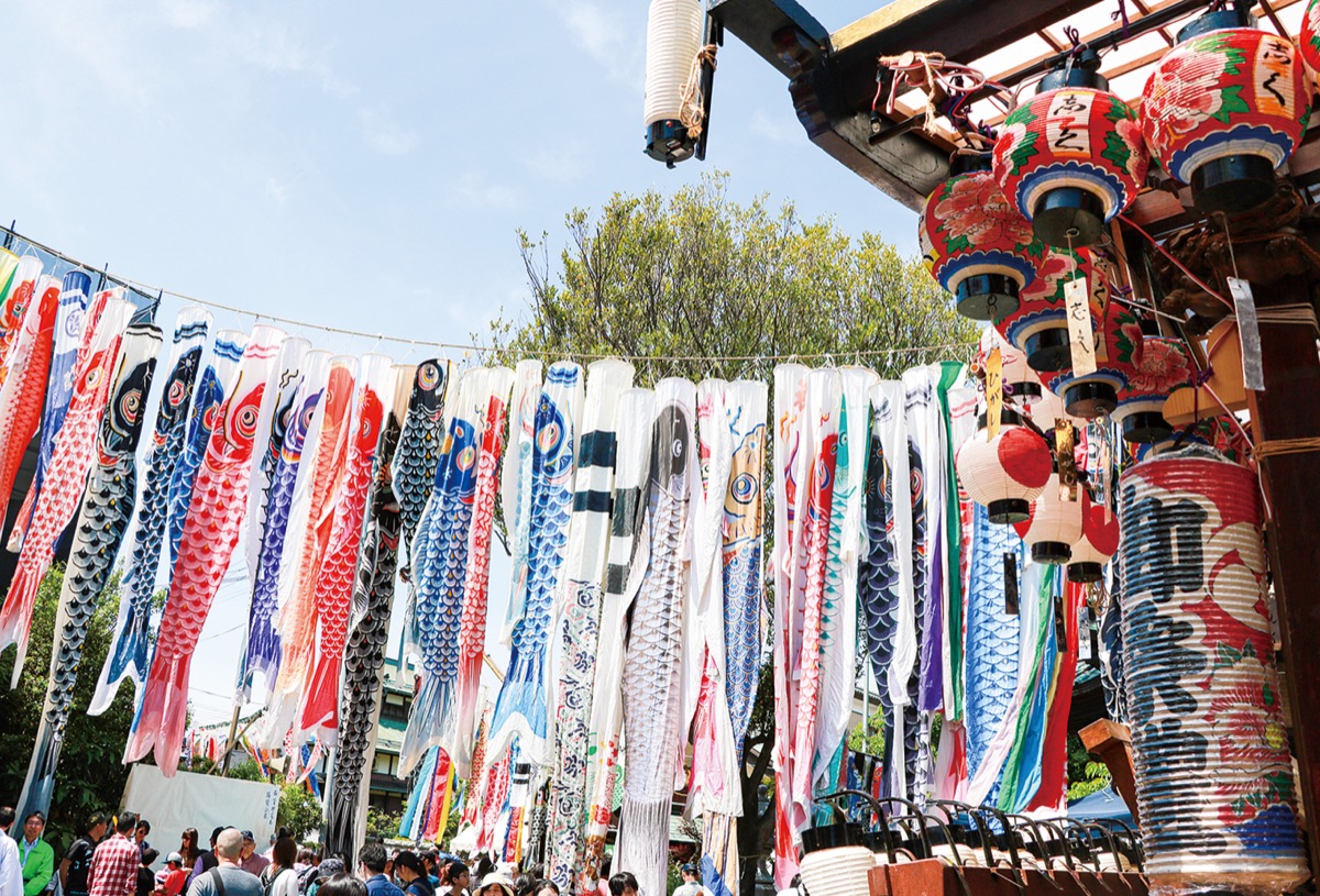 こいのぼり350匹舞う