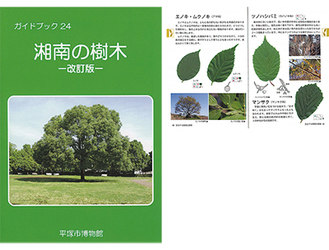 （上）葉だけでなく、木や実の特徴も詳しく記されている（左）改訂前は白黒だったが、今回はオールカラー