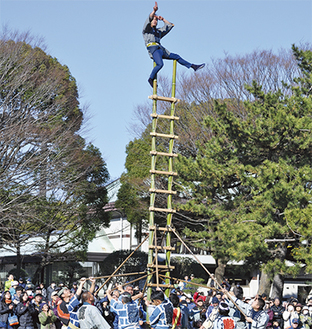 平塚古式消防保存会がはしご乗りを披露