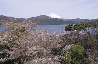 富士見百景にも選定