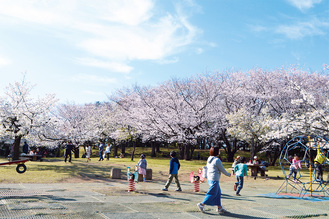 満開の桜を楽しむ来園者ら（４月５日撮影）