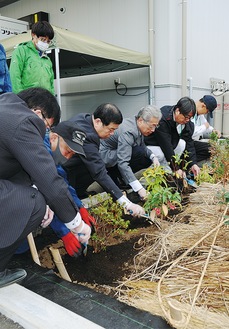 苗木を植える森社長（左から3人目）
