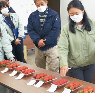 色づきの良い自慢のいちごがズラリ