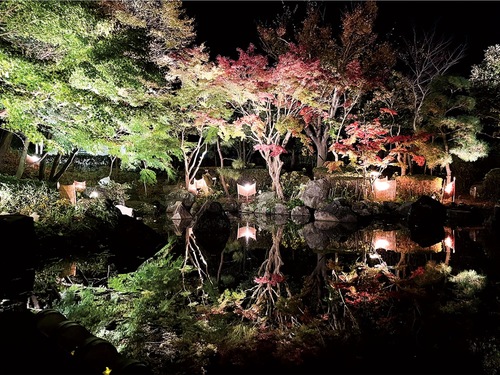 不動池に映る「逆さもみじ」（11月23日撮影）