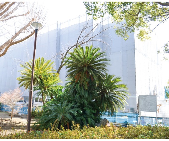 改修工事が進められる教育会館