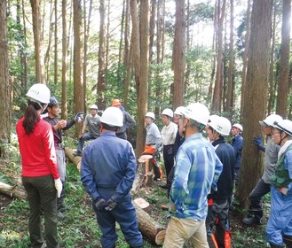 林業研修の様子（提供写真）