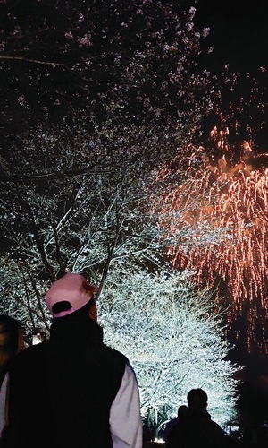 桜と花火を同時に楽しむ観覧客