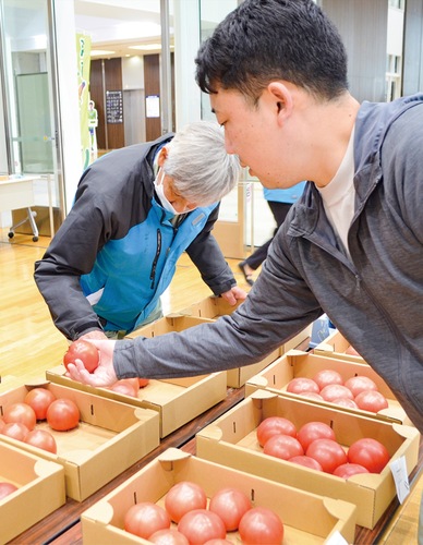 トマトを手に取る審査員ら