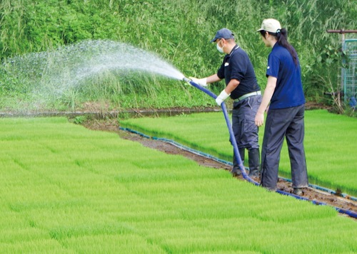 昨年の様子（ぜんしん提供）