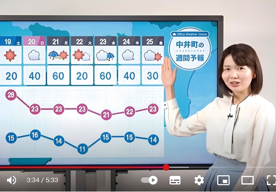 公開されている動画