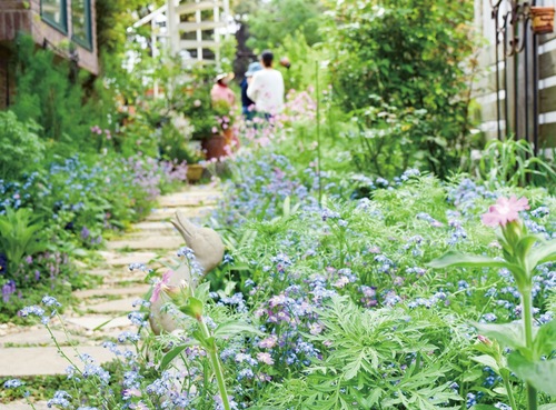 西小磯の小西さん邸の庭（４月18日撮影）