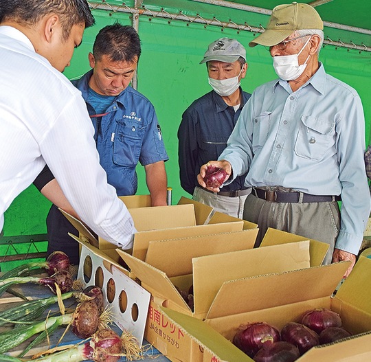 目合わせ会の様子