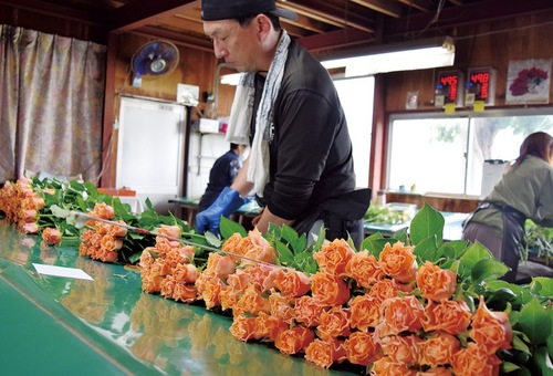 出荷作業する大沢さん