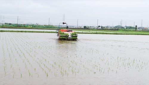 無人田植え機で作業する様子