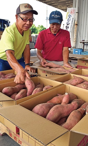 クリマサリの出来を確認する部会員