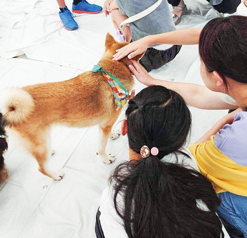 前回の様子（アニプロ提供）