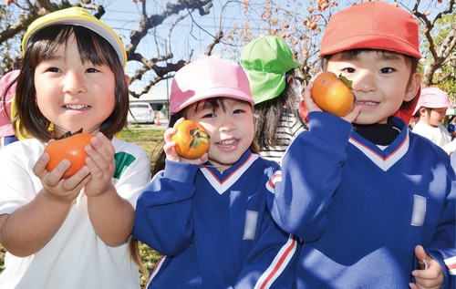 自分たちの手で柿をもぎ、満足気な園児