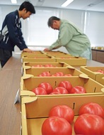 今年も「味よし」
