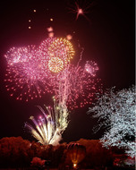 桜吹雪の「花見で花火」