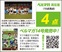 現在地としての12位