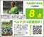 真夏のＪ新開幕白星スタート