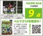 堅い守備、ホーム開幕戦もコーナーキックで先制、開幕２連勝