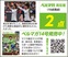 鬼門大宮、勝利はお預け
