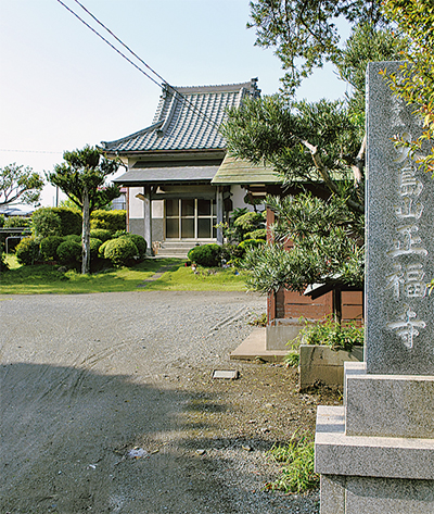 第74回　「大島」