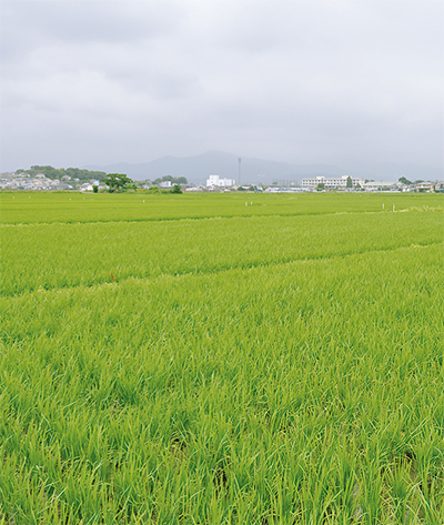 第82回　「入部」