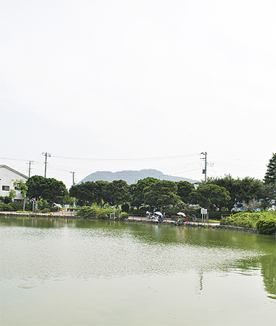 第83回　「達上ケ丘（たんじょうがおか）」