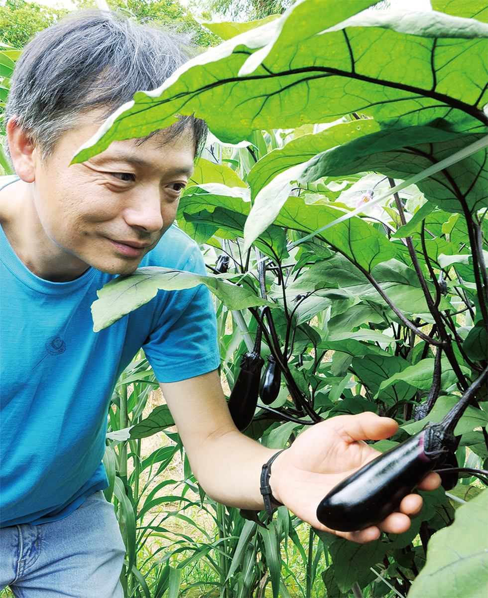 収穫作業を行う生産者の二宮さん