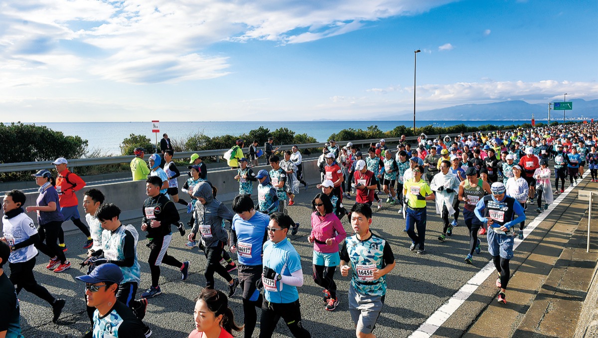 スタートしたフルマラソンの参加者＝西湘バイパス大磯西ＩＣ付近（湘南国際マラソン事務局提供）
