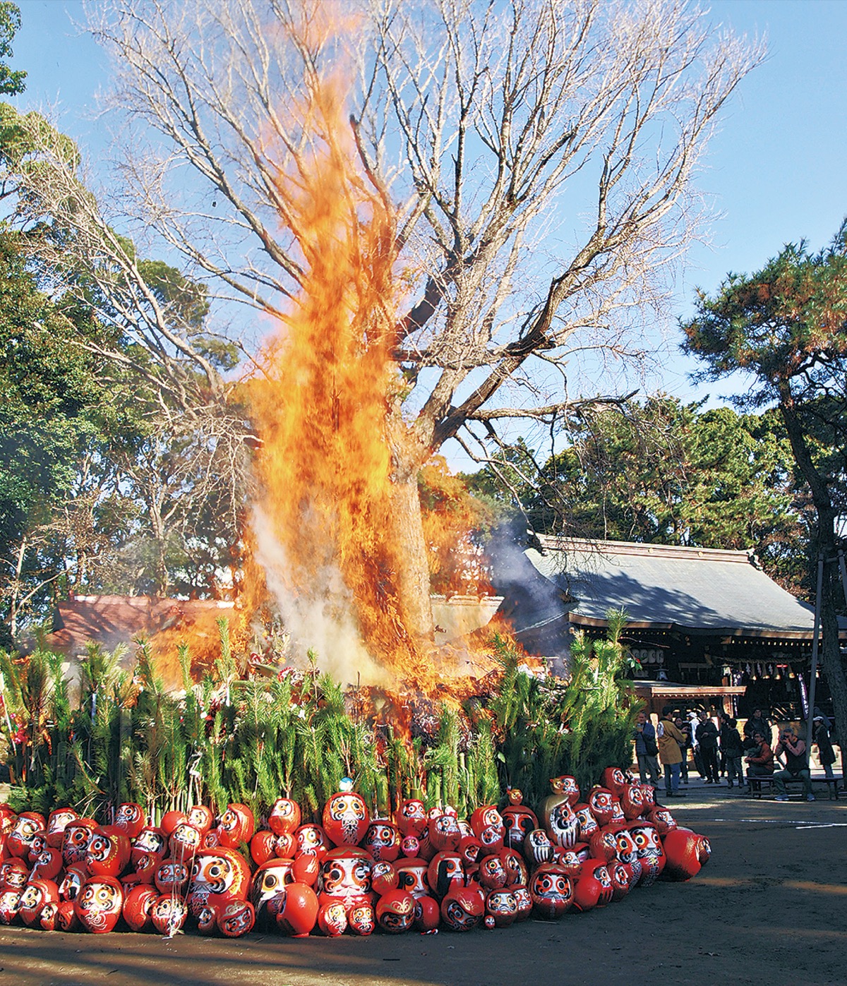 無病息災願う どんど焼き 平塚八幡宮におよそ３００人 平塚 タウンニュース