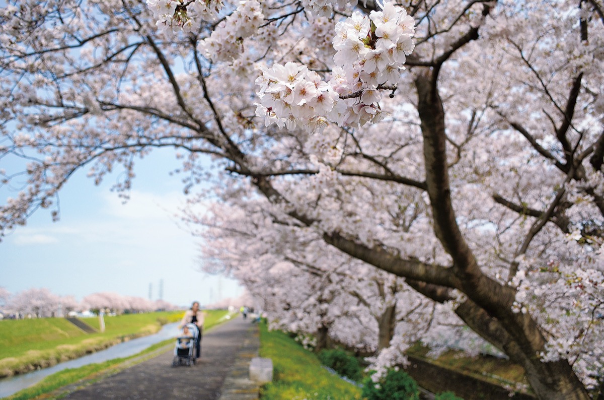 市内各所で春の便り