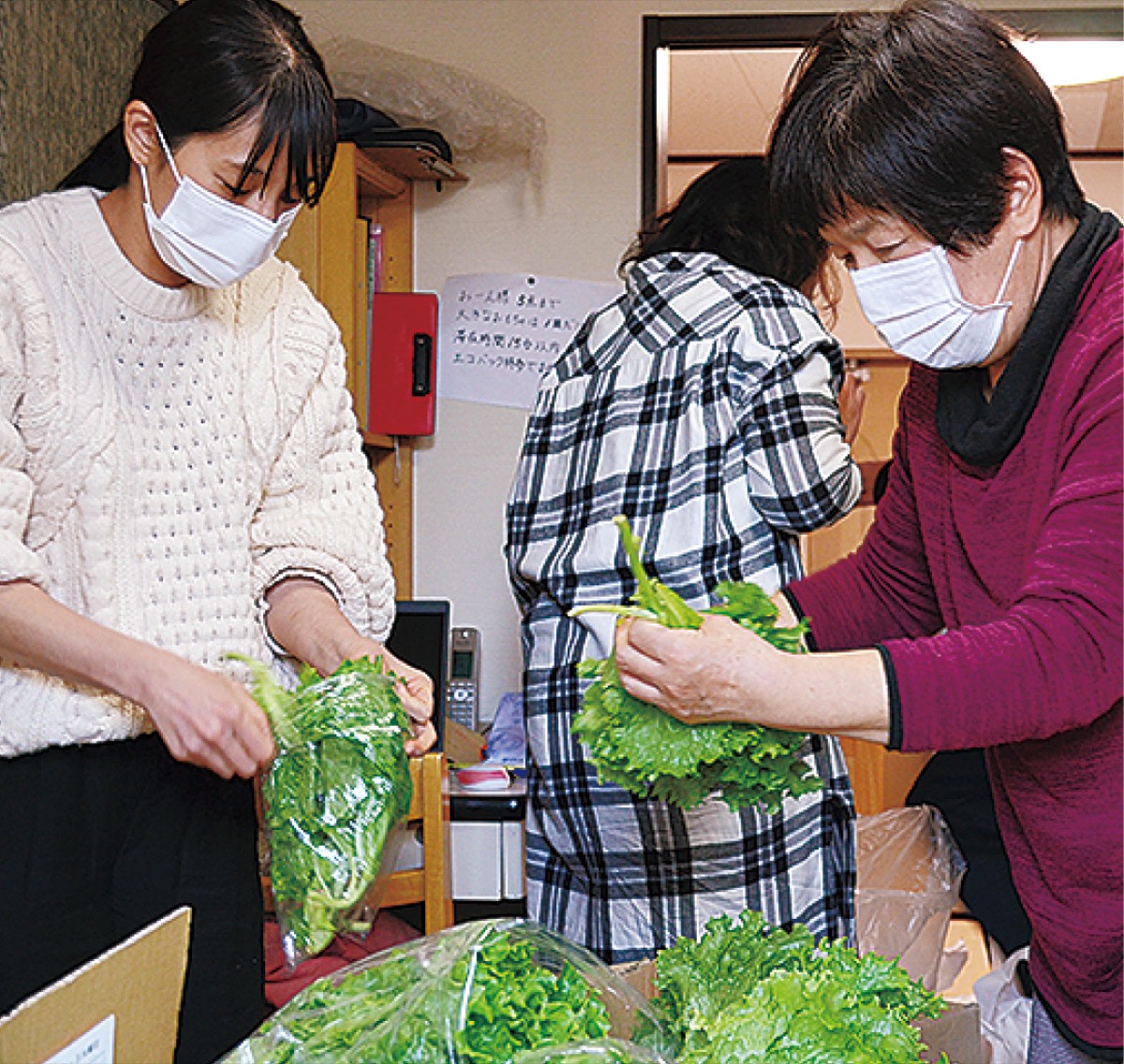 野菜を詰め込む様子