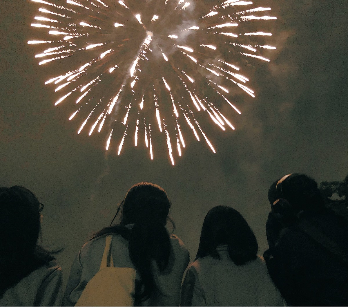 平塚市 大野中学校 最高の思い出 彩る花火 卒業祝い生徒発案 平塚 タウンニュース