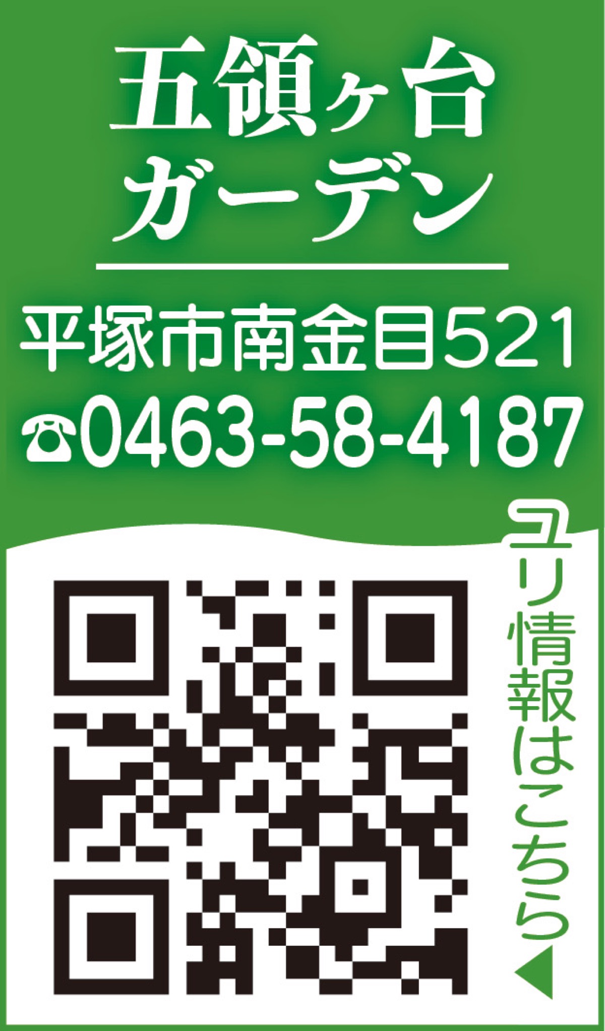 岩場や崖に咲く希少種 (写真2)