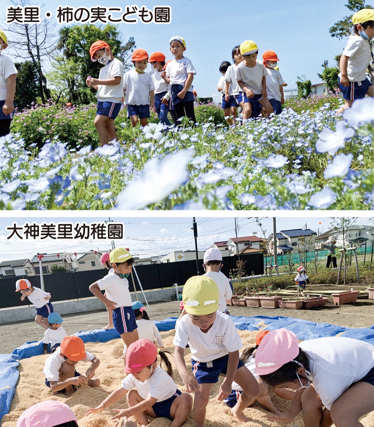 子どもたちになまの自然体験を 認定 美里・柿の実こども園認定こども園