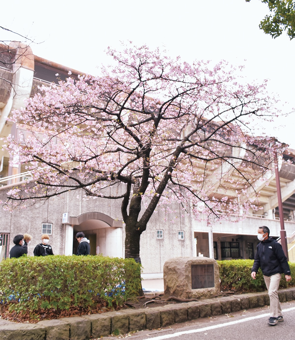 ホーム開幕戦に花添え (写真1)