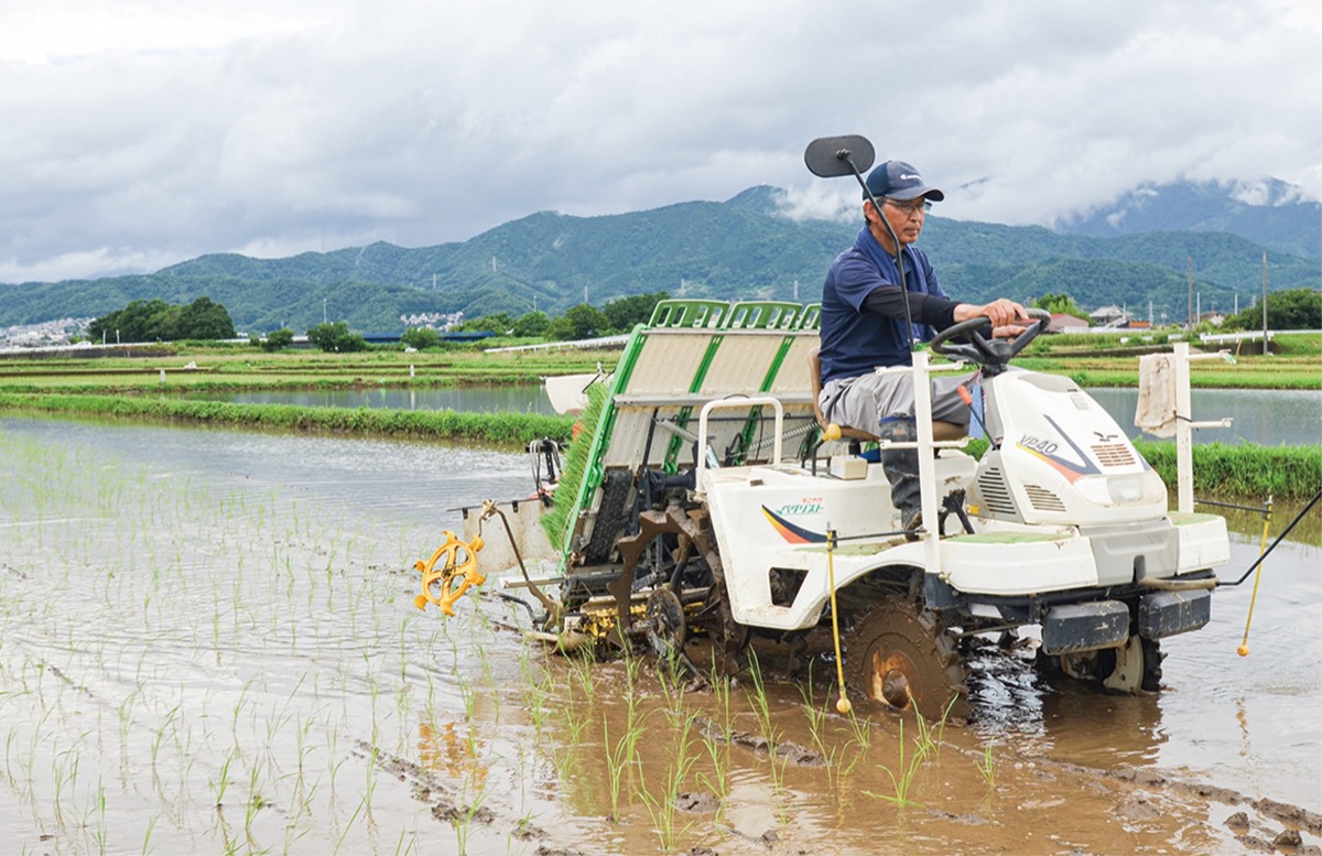 ｢元気に育て」田植えピーク (写真1)