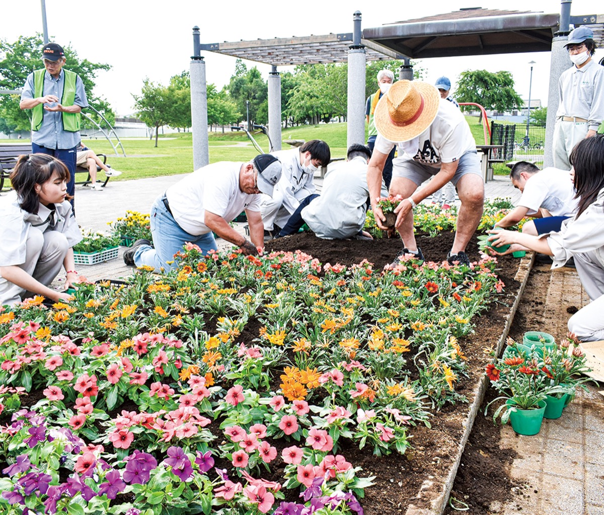 花壇に花を植える参加者