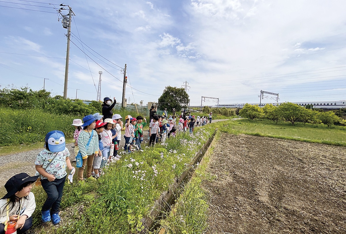 毎日の散歩で発見いっぱい