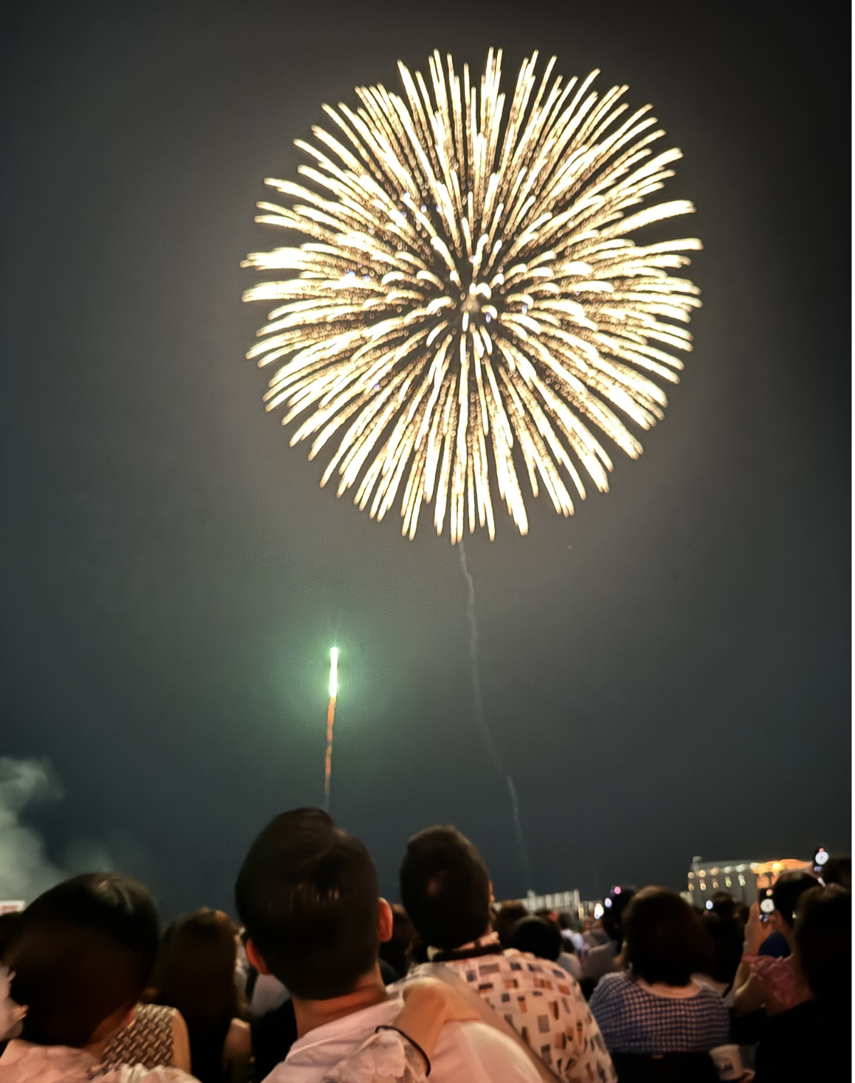 夜空に咲く３千発の大輪