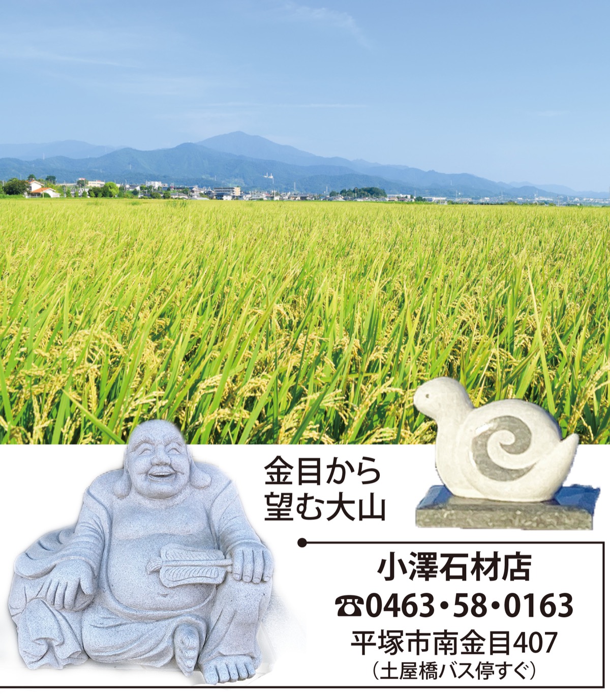 金目でこつこつ96年