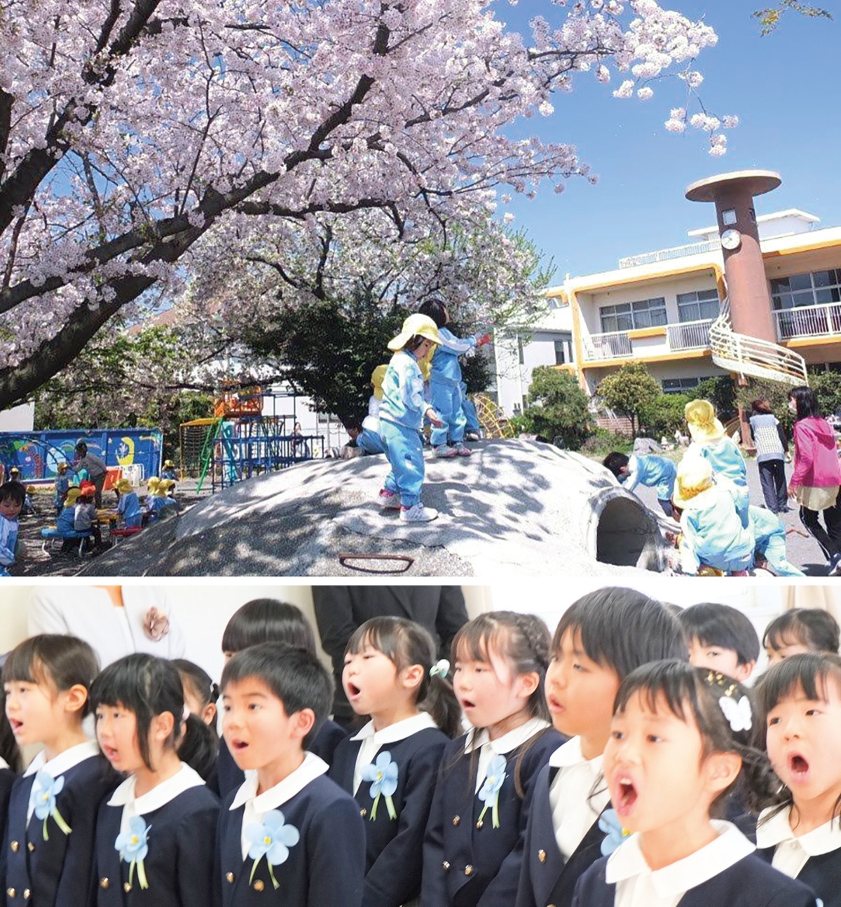 豊かで確かな育ちを