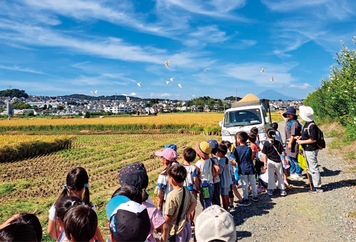 散歩で発見、この秋も継続中